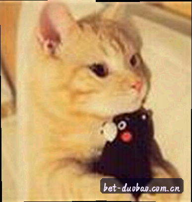 吴婷