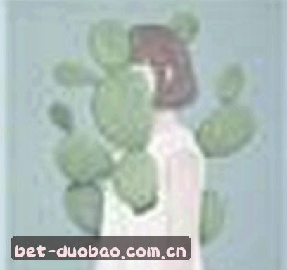 郑凯